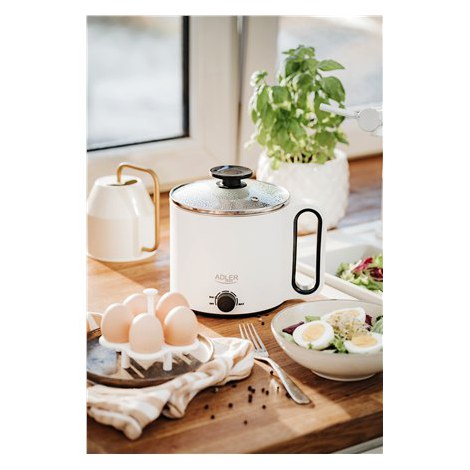 Adler | AD 6417 | Electric pot 5in1 | 1.9 L | White | Number of programs 5 | 780-900 W - 9